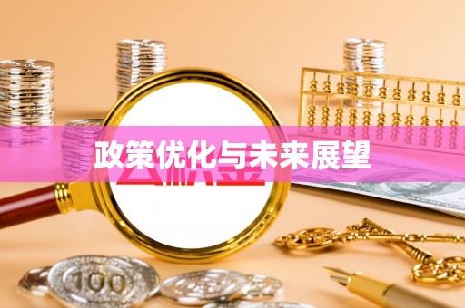 新邵政策优化与未来展望