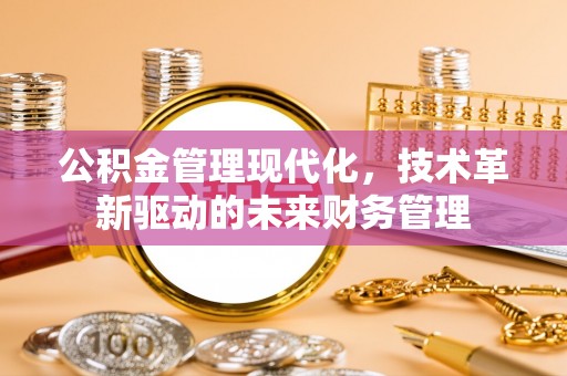新邵公积金管理现代化，技术革新驱动的未来财务管理