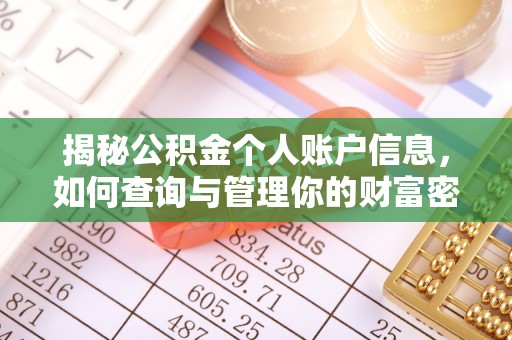 新邵揭秘公积金个人账户信息，如何查询与管理你的财富密码