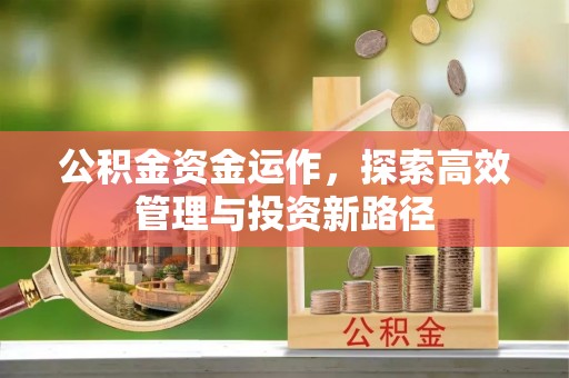 新邵公积金资金运作，探索高效管理与投资新路径