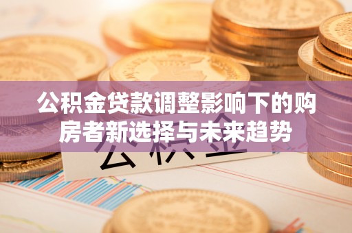 新邵公积金贷款调整影响下的购房者新选择与未来趋势