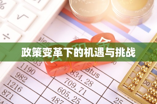 新邵政策变革下的机遇与挑战