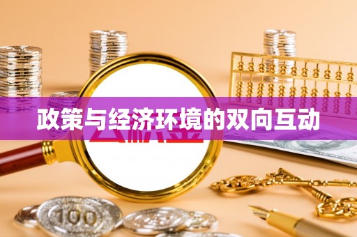 新邵政策与经济环境的双向互动