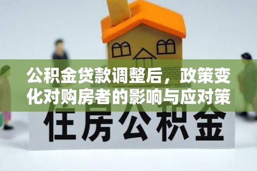 新邵公积金贷款调整后，政策变化对购房者的影响与应对策略