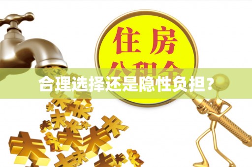 新邵合理选择还是隐性负担？