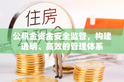 新邵公积金资金安全监管，构建透明、高效的管理体系
