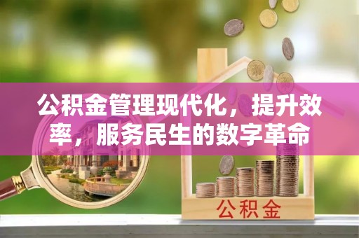 新邵公积金管理现代化，提升效率，服务民生的数字革命