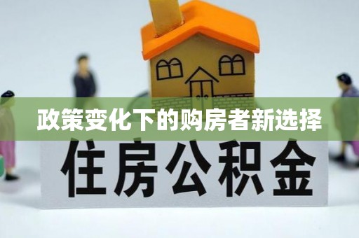 新邵政策变化下的购房者新选择