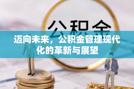 新邵迈向未来，公积金管理现代化的革新与展望