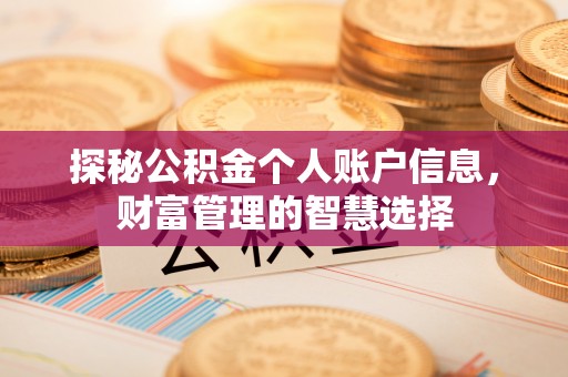 新邵探秘公积金个人账户信息，财富管理的智慧选择