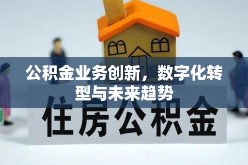新邵公积金业务创新，数字化转型与未来趋势