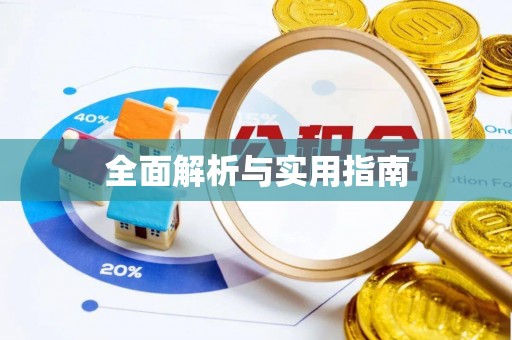 新邵全面解析与实用指南