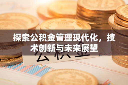 新邵探索公积金管理现代化，技术创新与未来展望