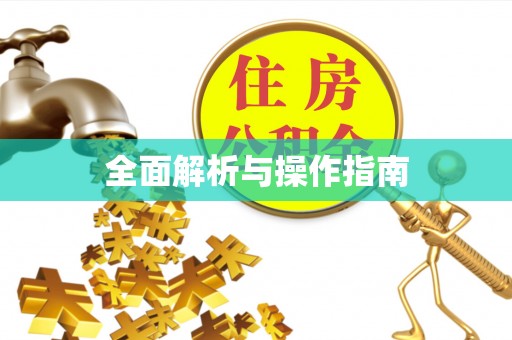 新邵全面解析与操作指南