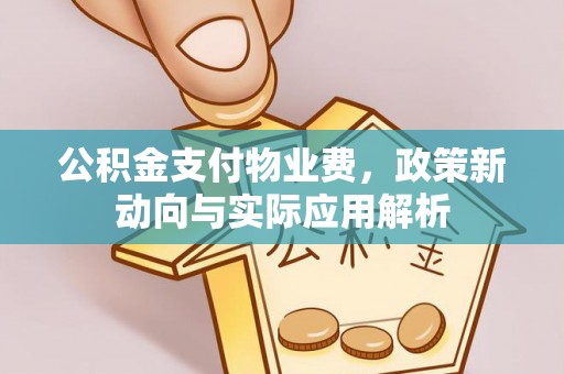 新邵公积金支付物业费，政策新动向与实际应用解析
