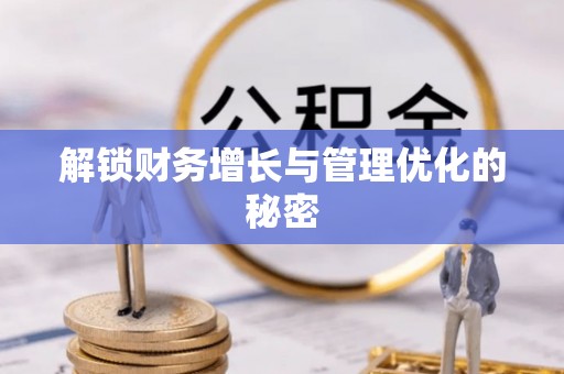 新邵解锁财务增长与管理优化的秘密