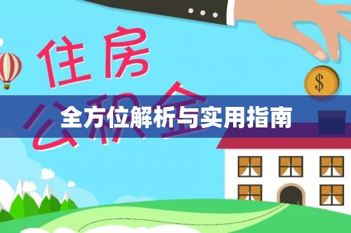 新邵全方位解析与实用指南
