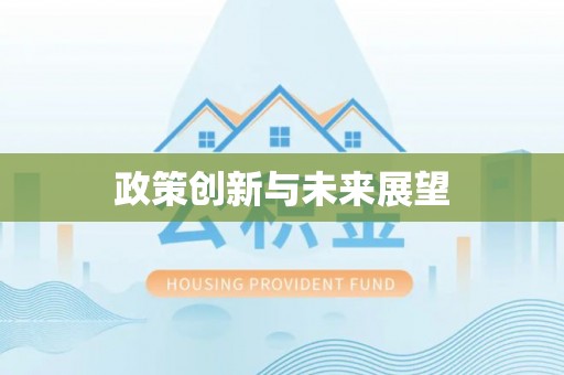 新邵政策创新与未来展望